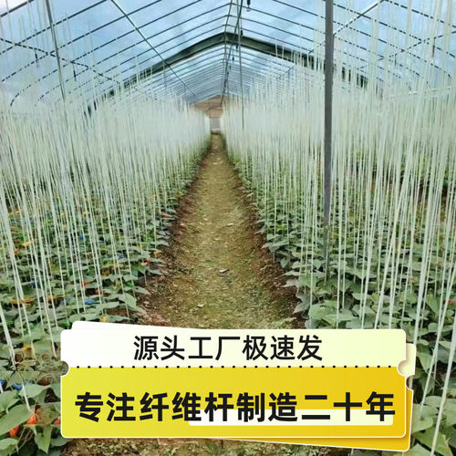 极速新品拱棚支架豆角黄瓜架拱棚拱杆爬藤玻璃P纤维瓜果小苗支伸