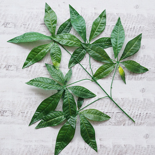 极速仿真发财树叶子塑料手感过胶树叶工程造景Q装饰绿植叶假发财