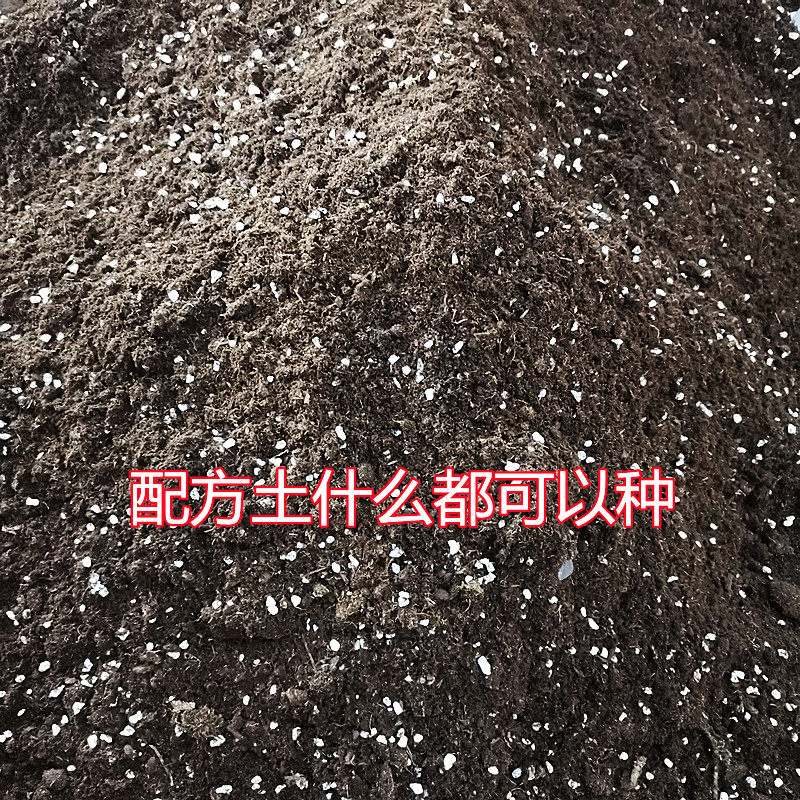 速发配方土山泥有机介质种花土营养土花盆栽家用松软透气泥炭土种