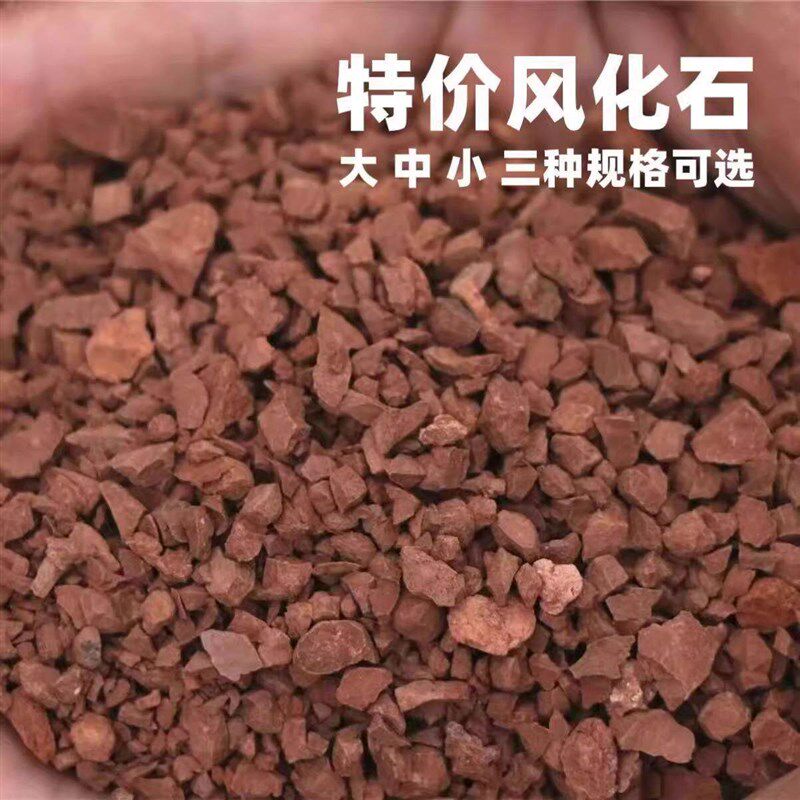 速发风头颗粒风化土特价金掸子专用土红土酸性兰花营养大袋铺面石 - 实物图
