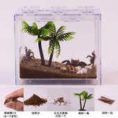 速发蟹辣椒蟹缸生人缸迷你辣椒L躲避屋桌面微景观懒态小螃蟹