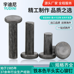 速发铁平头实M铆钉本色铁钉铁击GB10敲打打平铆钉2.5心4M5M6M8