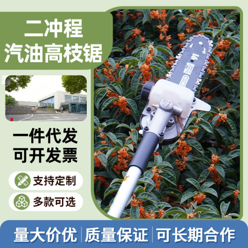 二冲程汽油高枝锯园艺果树修剪