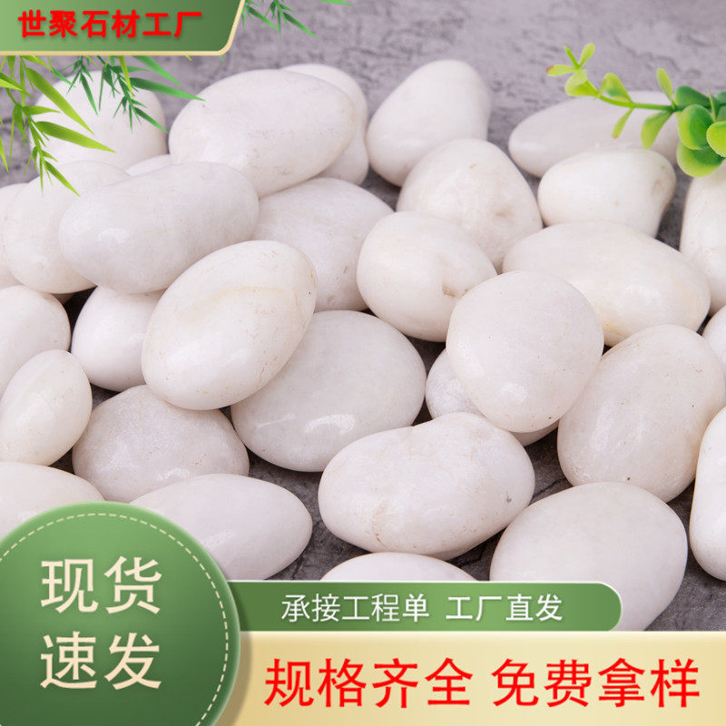 厂家批发白色精抛鹅卵石雨花石原石庭院铺地家用造景精抛小石头