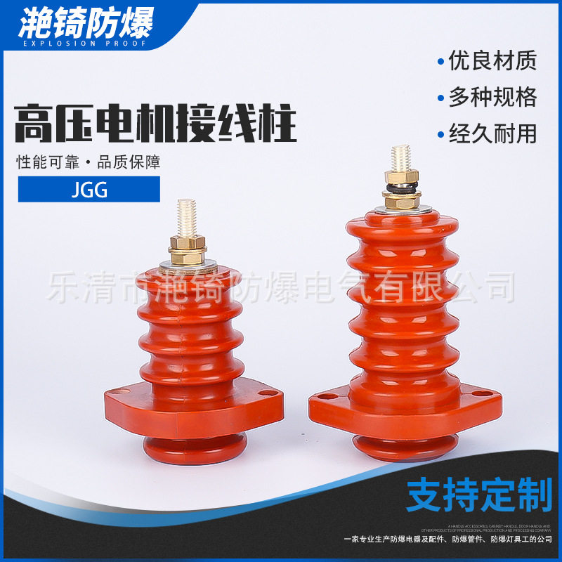 防爆高压电机接线柱 引线型号JGG镀银铜芯（6KV-10KV）铜螺杆M12