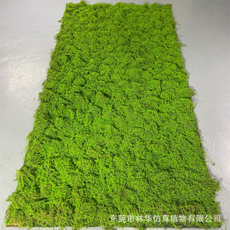 仿真植毛草坪 室内装饰仿真苔藓草坪 植物墙配材凹凸微景观批发