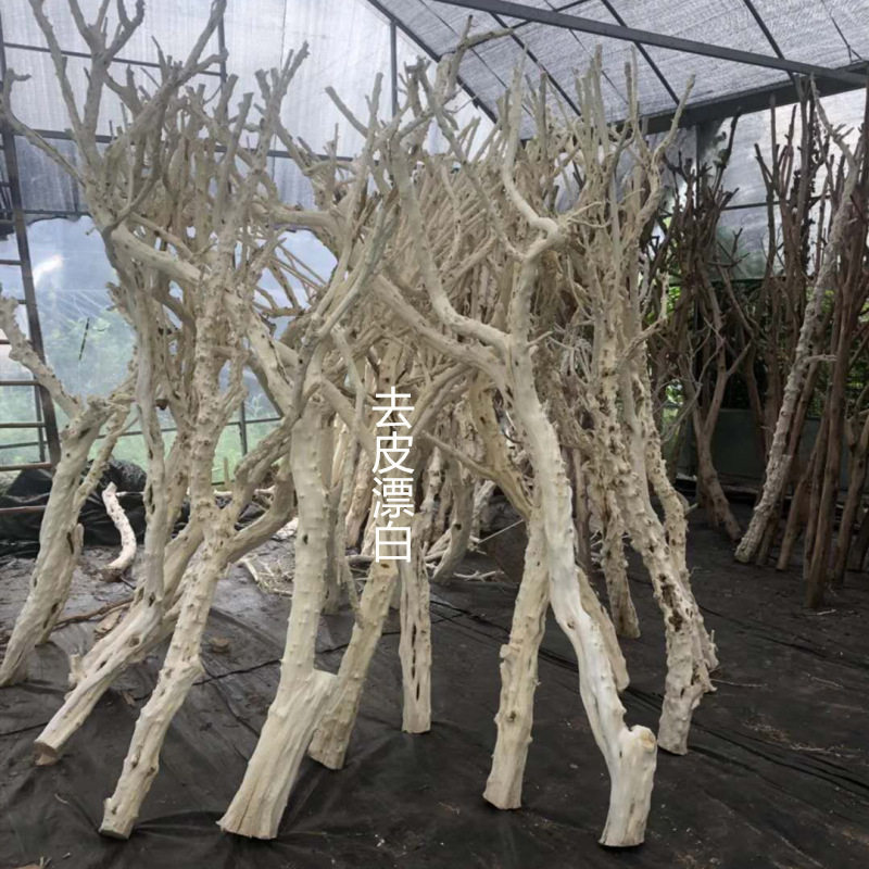 原木造型枯树漂白石榴树服装装饰树枯树干树枝白树枝去皮枯枝装饰