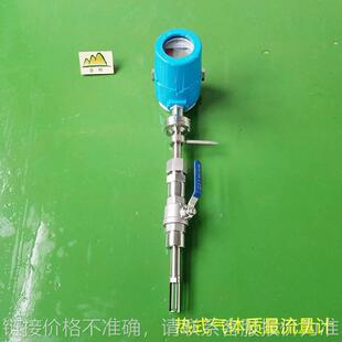 气体质量流量计氮气空气烟气氢气流量计 厂家现货热式