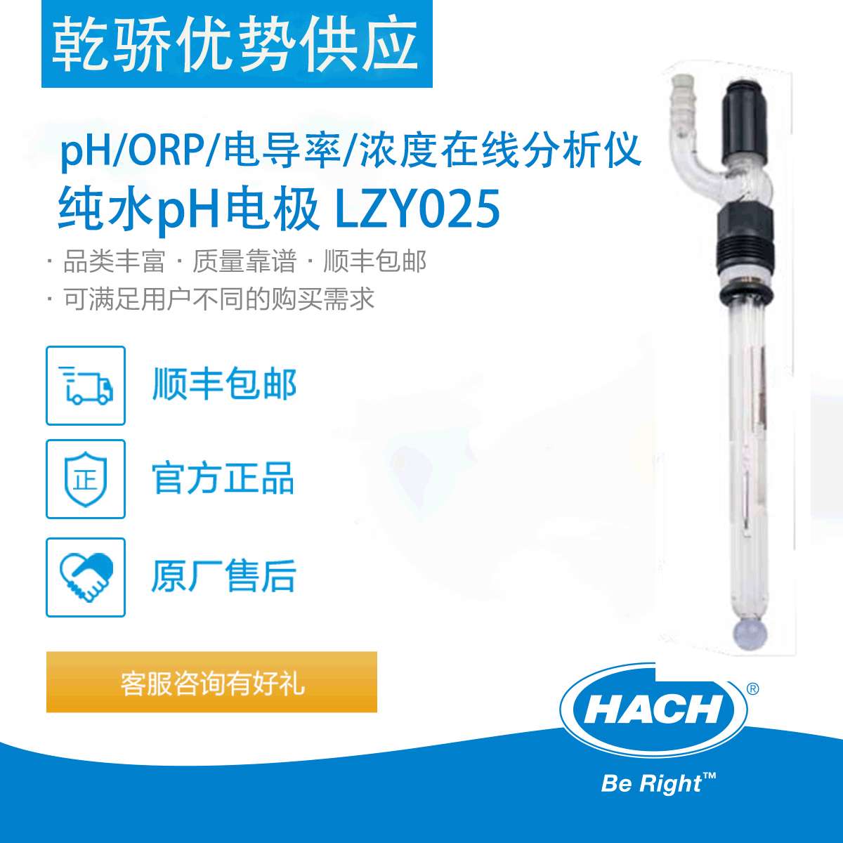 哈希 pH/ORP/电导率/浓度在线分析仪 纯水pH电极 LZY025