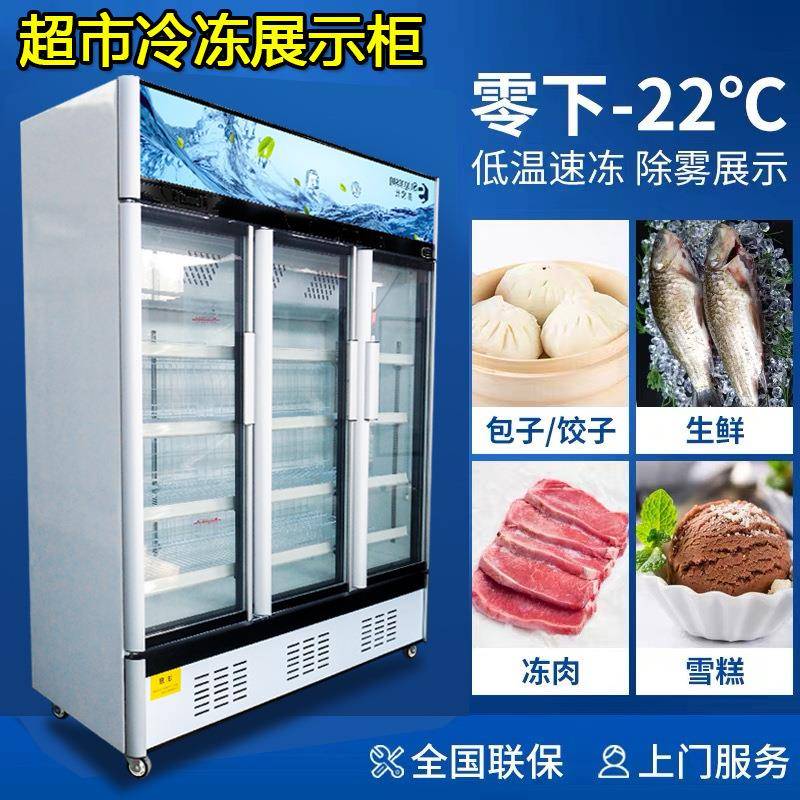 立式冷冻牛肉牛排冰柜羊肉卷预制菜冷柜速冻榴莲风冷冻展示柜肉类