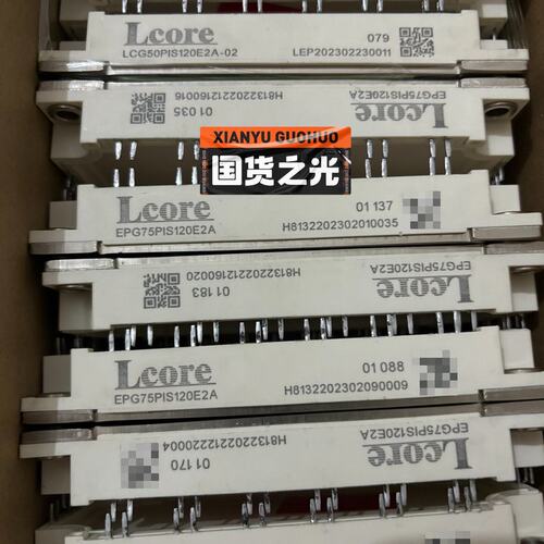 议价EPG仪表EPG100PIS120E2BEPG100PIS120E2BEPG100-PIS120E2B