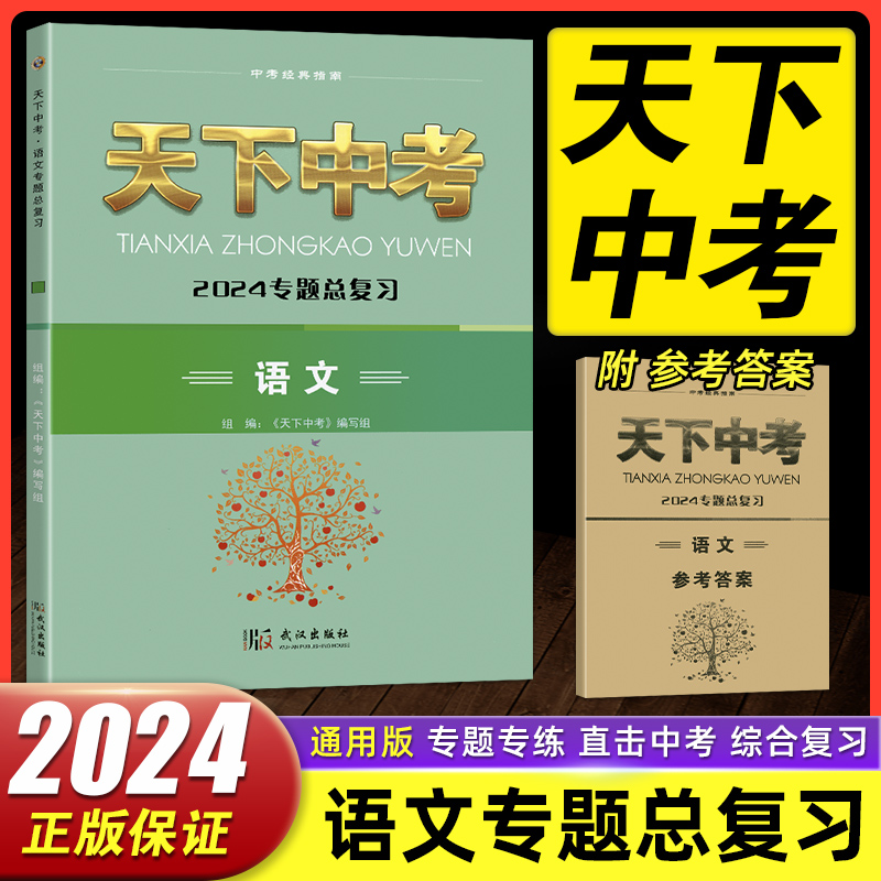 2024天下中考语文专题总复习