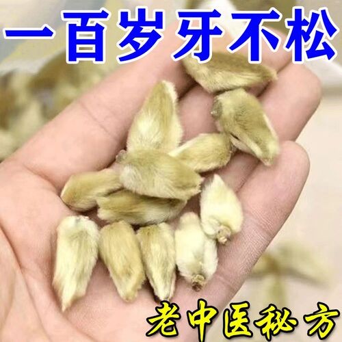 极速【严重牙松h专用】牙齿松动牙龈肿痛牙周炎牙根外漏护龈固齿