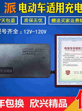 极速王派电动车充电器原装24V48Vu12AH60V64V72V80V84V96V20AH通