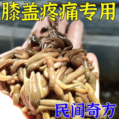 极速【专业推荐】k滑膜炎膝盖疼痛蹲下困难膝关节积水积液肿胀滑