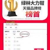 极速绿林大力h钳多功能万用手动夹钳固定工具钳重型圆口钳木工大