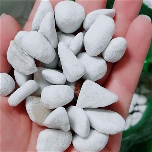 极速珍珠岩硬质大颗粒养兰花植料蛭石育苗盆M栽拌土发根通用种植