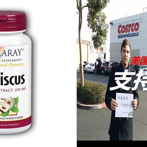 新品Hibiscfus Flower Extract (250 mg) Solaray 60 VCaps