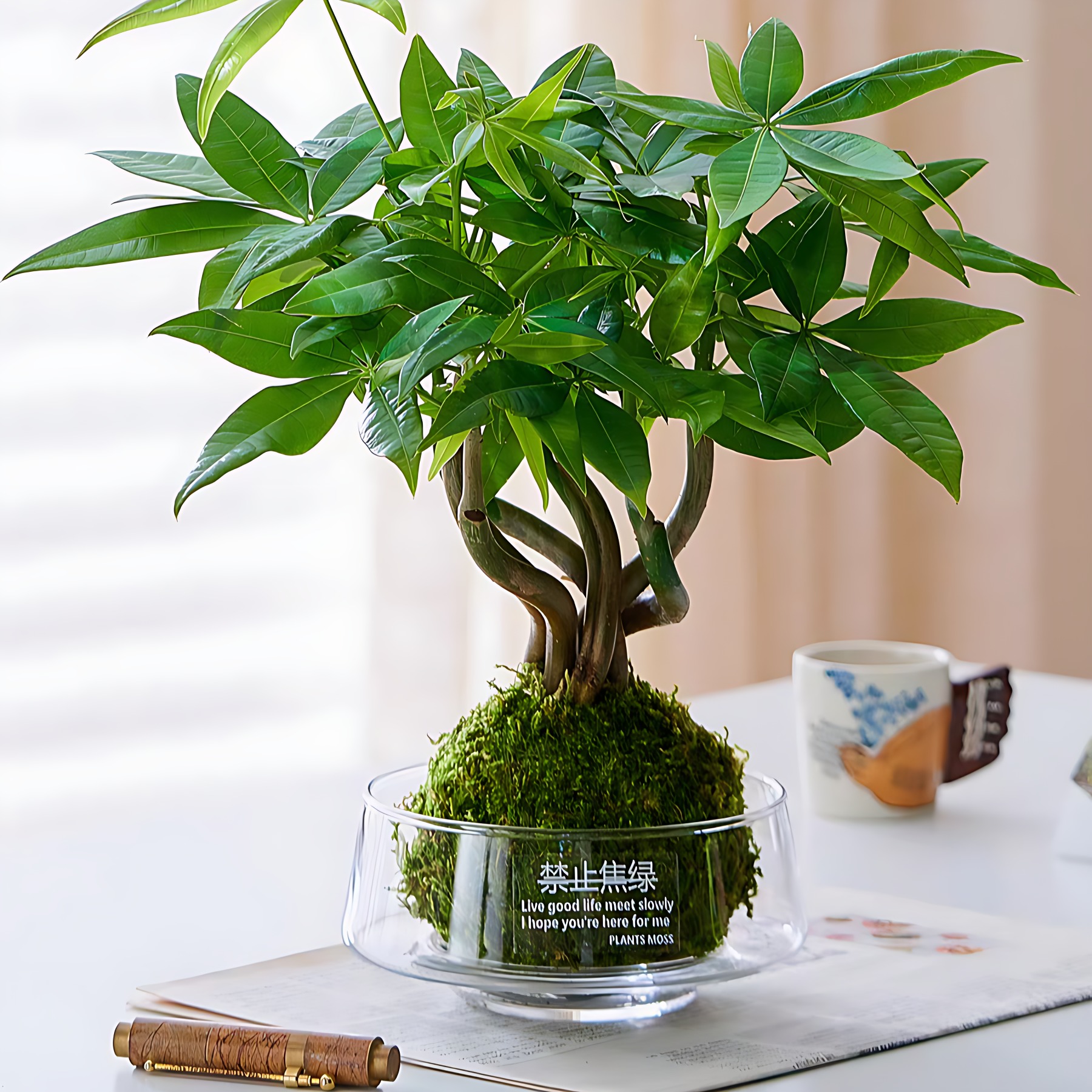 玻璃花瓶透明大口径水培发财树植物盆栽办公室桌面小型绿植容器