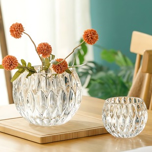玻璃花瓶摆件客厅插花大口径多肉植物花盆水培绿萝铜钱草摆件花器