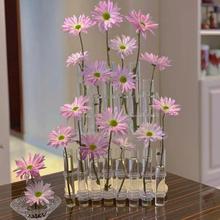 网红一排试管玻璃花瓶摆件透明创意ins高级感水养洋牡丹鲜花花器