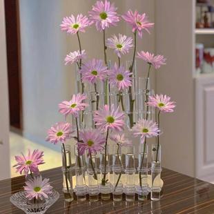 网红一排试管玻璃花瓶摆件透明创意ins高级感水养洋牡丹鲜花花器