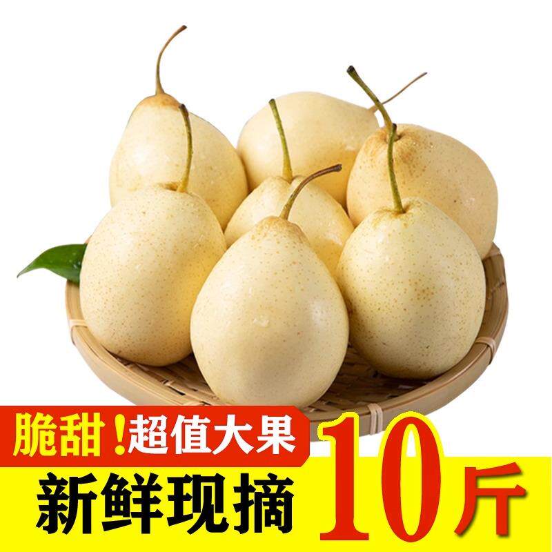 河北现摘新鲜皇冠梨雪梨水果鸭梨子10斤应季水晶梨砀山梨苹果梨