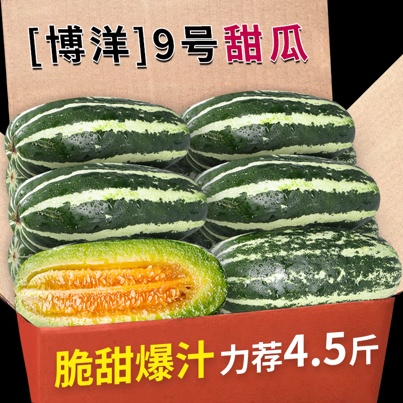 正宗博洋9号甜瓜新鲜水果当季整箱羊角九号大果脆甜香蜜瓜直发