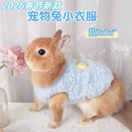 秋冬保暖小号背心兔子衣服幼猫犬