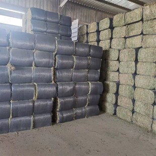 极速羊干b草饲料100斤苜蓿草干草优质喂马草料奶牛奶山羊草羊驼草