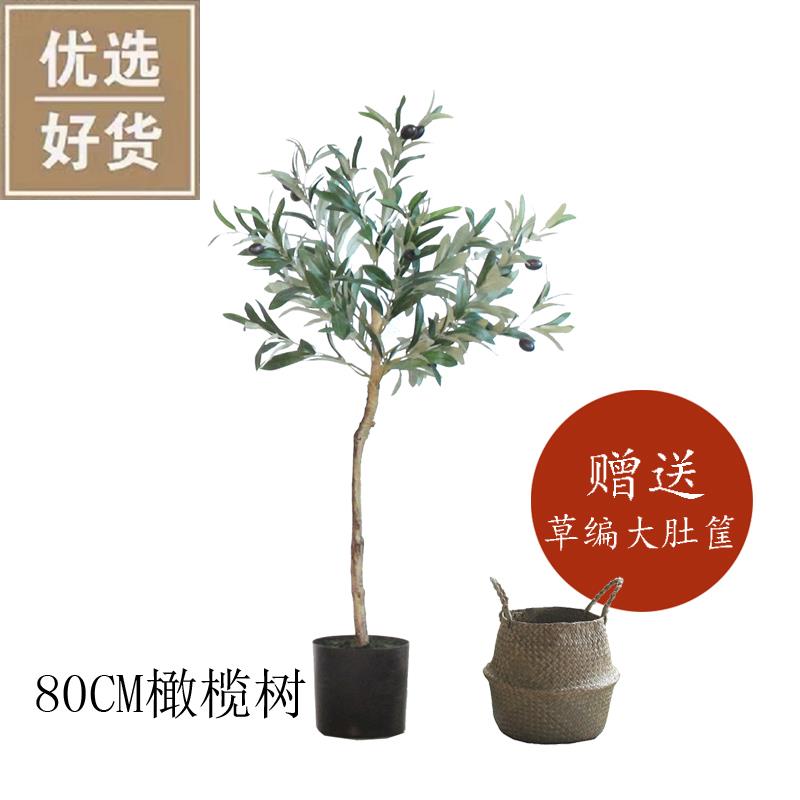 极速西西a里isn北欧仿真绿色植物盆栽橄榄落地大型植树物家居办公