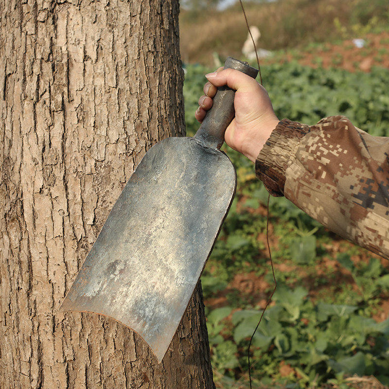 极速挖树g铲子加厚洛阳铁铲农用工具,农机/农具/农膜,智慧农业系统,淘宝优惠券,粉丝福利购,淘宝优惠卷