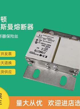 极速快速熔断器保险170M1777 170M1778 H170M1779 170M1780议价