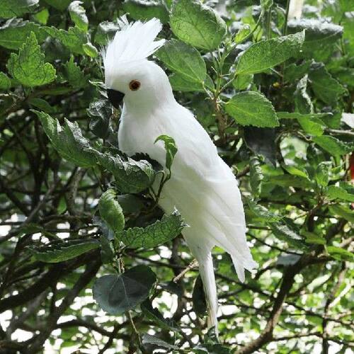 极速35CM Foam Feather Macaw Lawn DEoll Decoration Fake Anima