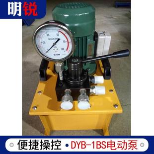 1BS液压电动泵高低压结合液压泵电动液压泵超高压 厂家DYB