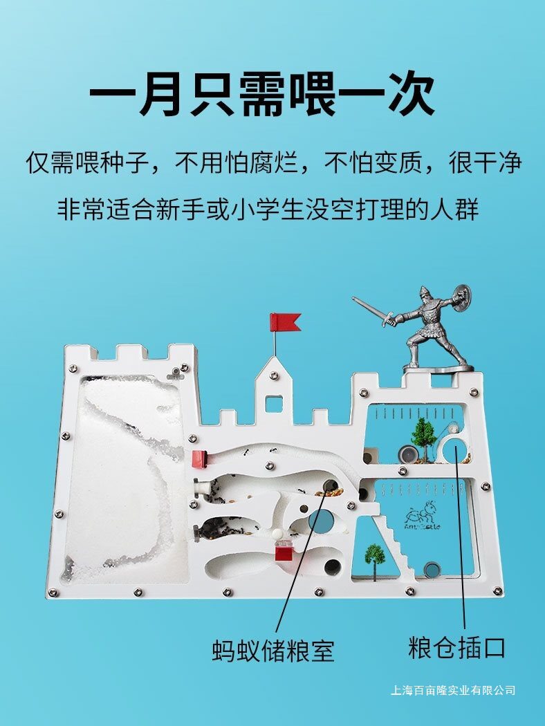 免装版蚂蚁城堡蚂蚁工坊送蚁后卵学生观察蚁巢箱室屋家园巢穴