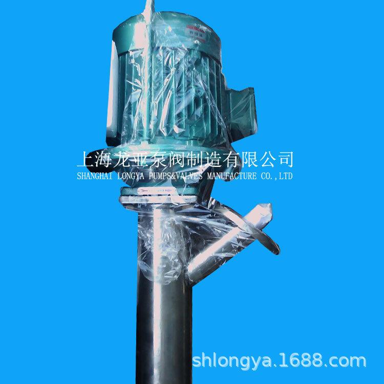 GL40升降机式碰柑汁泵带升降机榴莲汁泵