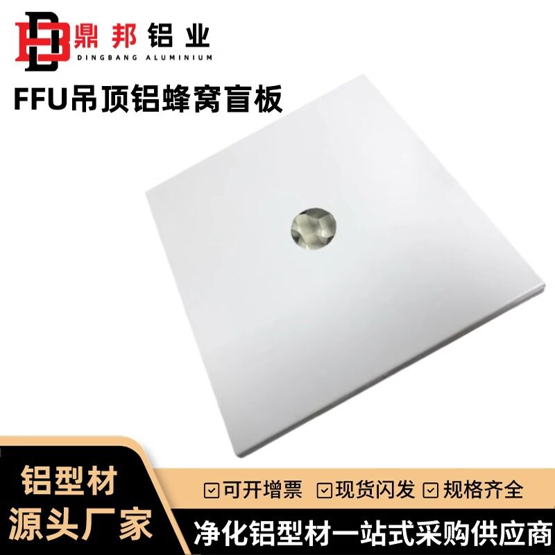 FFU盲板洁净车间彩钢板夹芯铝蜂窝板吊顶防火保温隔热盲板配件
