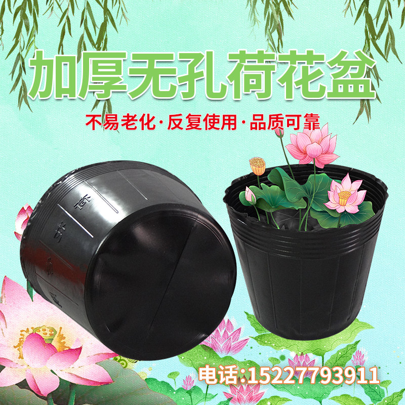 速发荷花盆厚色一次性黑加塑料无孔碗莲盆水生植物育苗盆睡莲盆营