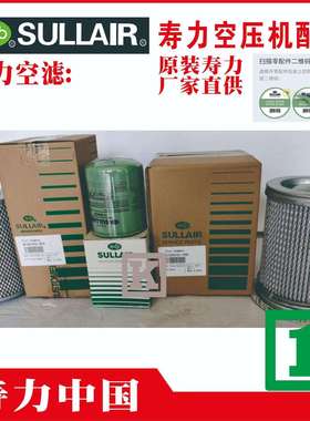 02250112-03102250112-03200169288290018-880寿力管路过滤器