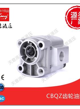 供应齿轮油泵CBQZ-G2F汽车尾板动力单元齿轮泵