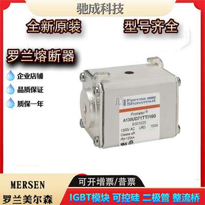 A130UD71TTI160 A130UD71TTI200 A130UD71TTI250新熔断器厂价直销