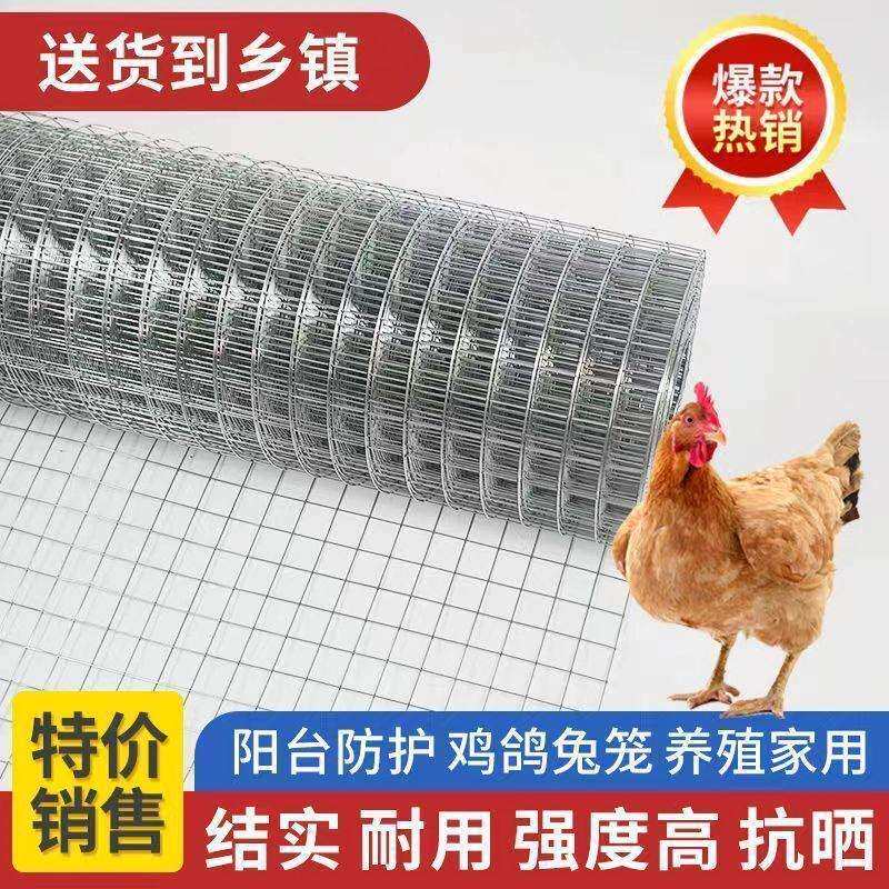 镀锌网加粗超硬铁丝网鸡鸭鹅养殖网封窗网防猫防护鸟兔笼铁网格网
