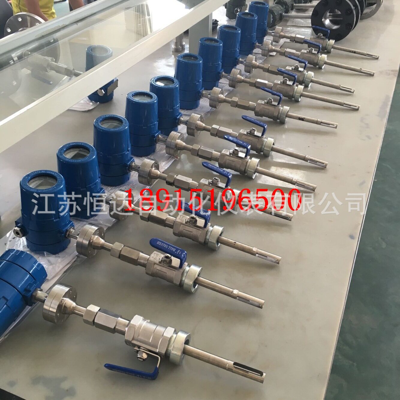 防爆热式气体流量计热式气体质量流量计插入式防爆气体流量计