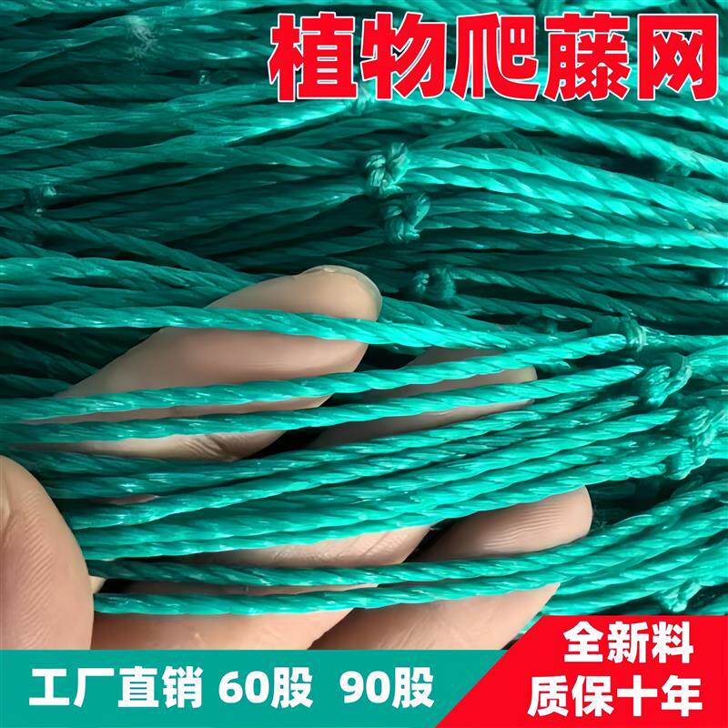 现货建筑防护网护l栏网球场围网养殖养鸡围栏网尼龙绳网植物爬藤