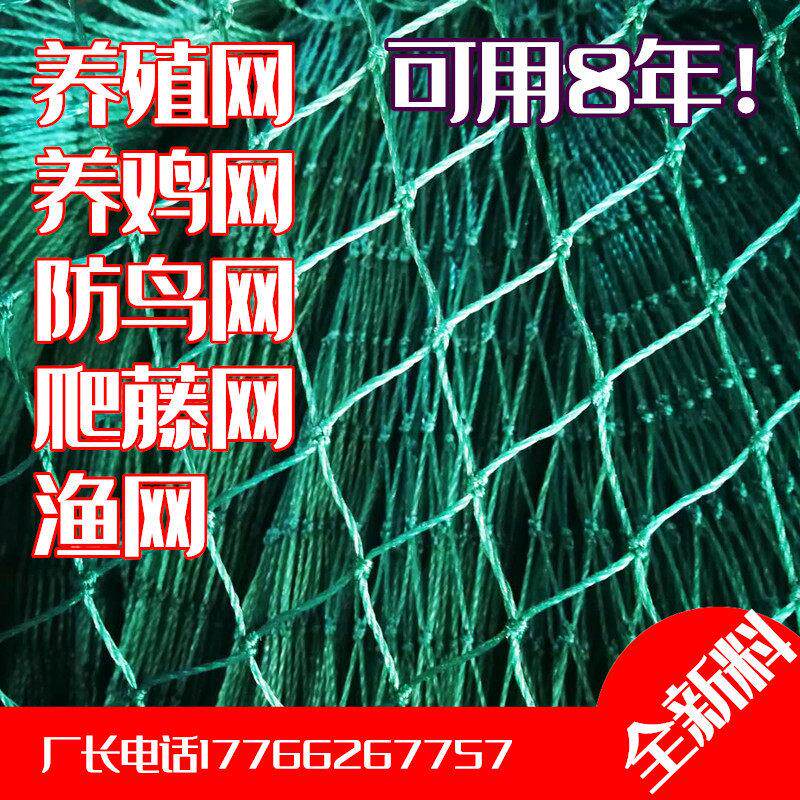 现货速发养鸡网山鸡网拦鸡网家禽养殖网天网防鸡网菜园网围鸡网围