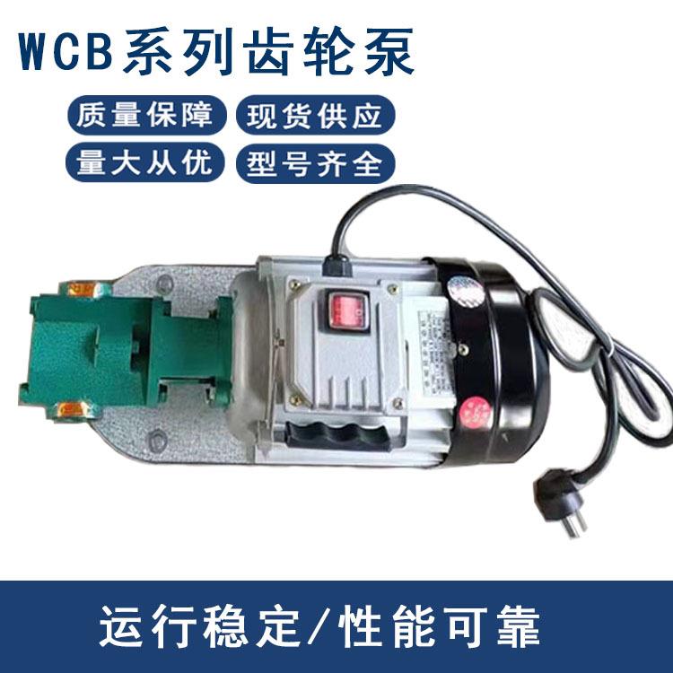 WCB齿轮泵便携式小型齿轮油泵手提式自吸式齿轮泵输油泵