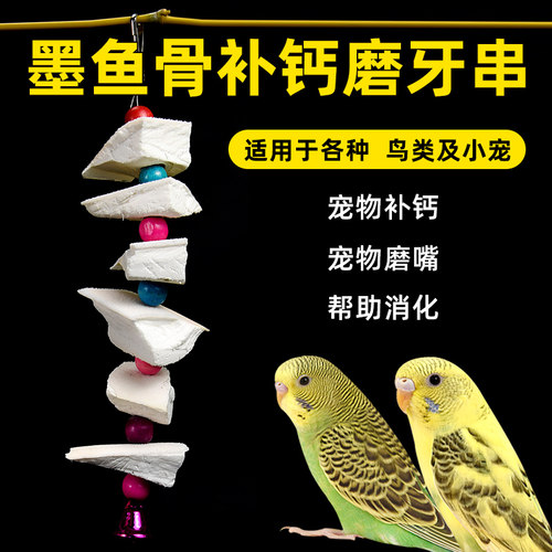 鹦鹉专用墨鱼骨串牡丹玄凤虎皮鸟食专用啃咬营养磨牙用品磨牙零食 - 封面