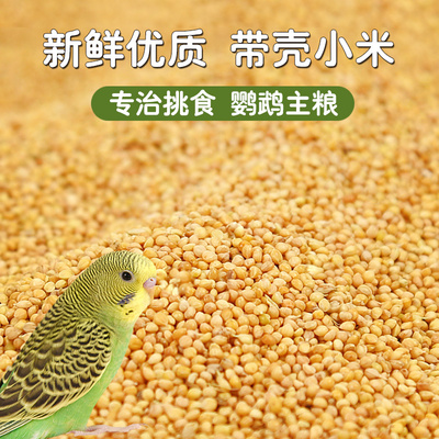 中小型鹦鹉带壳饲料新黄谷子