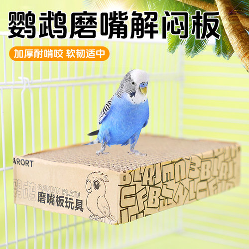 发泄磨牙磨嘴纸板啃咬鹦鹉站台
